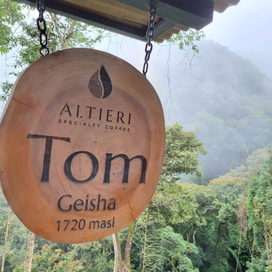 Altieri Tom Geisha coffee trees