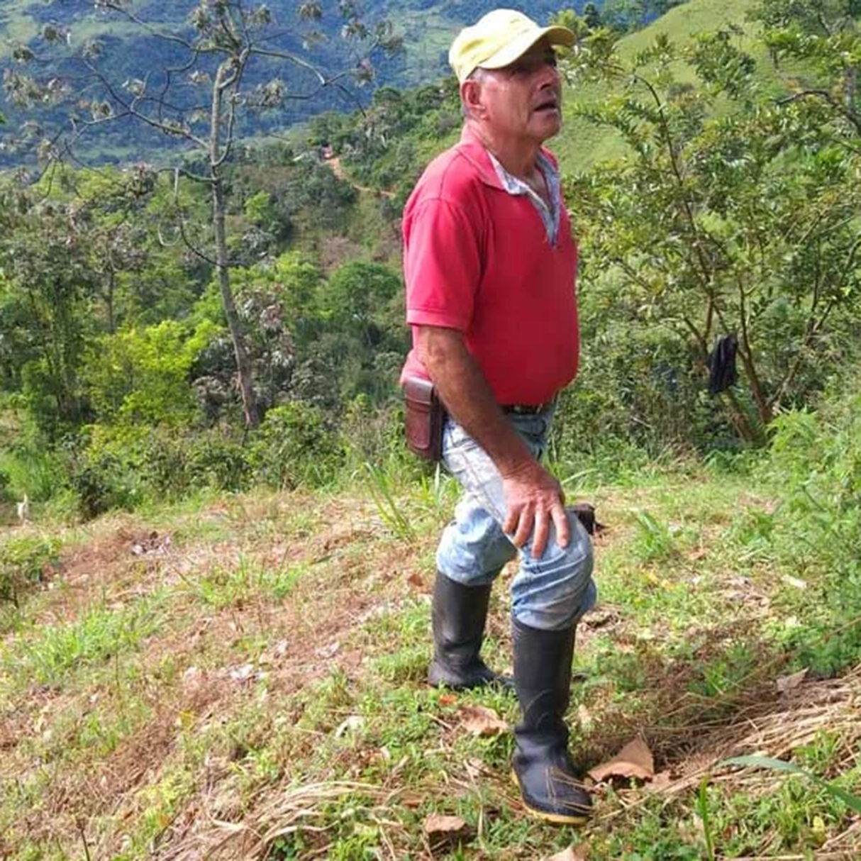 A man standing outdoors on a grassy hillside wearing a red polo shirt, light blue jeans, black rubber boots, and a yellow cap, with mountains and coffee trees in the background.