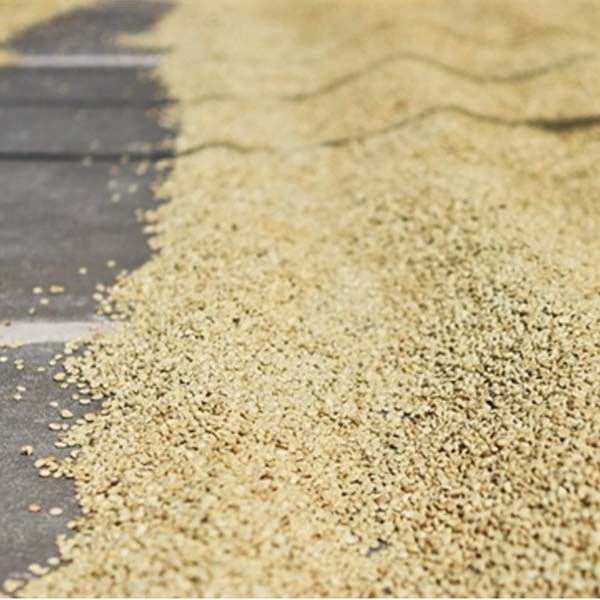 Close-up of coffee beans on patio drying.