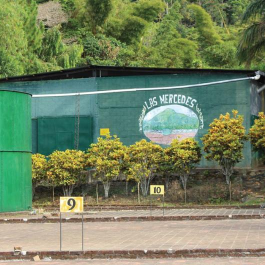El Salvador Las Mercedes coffee