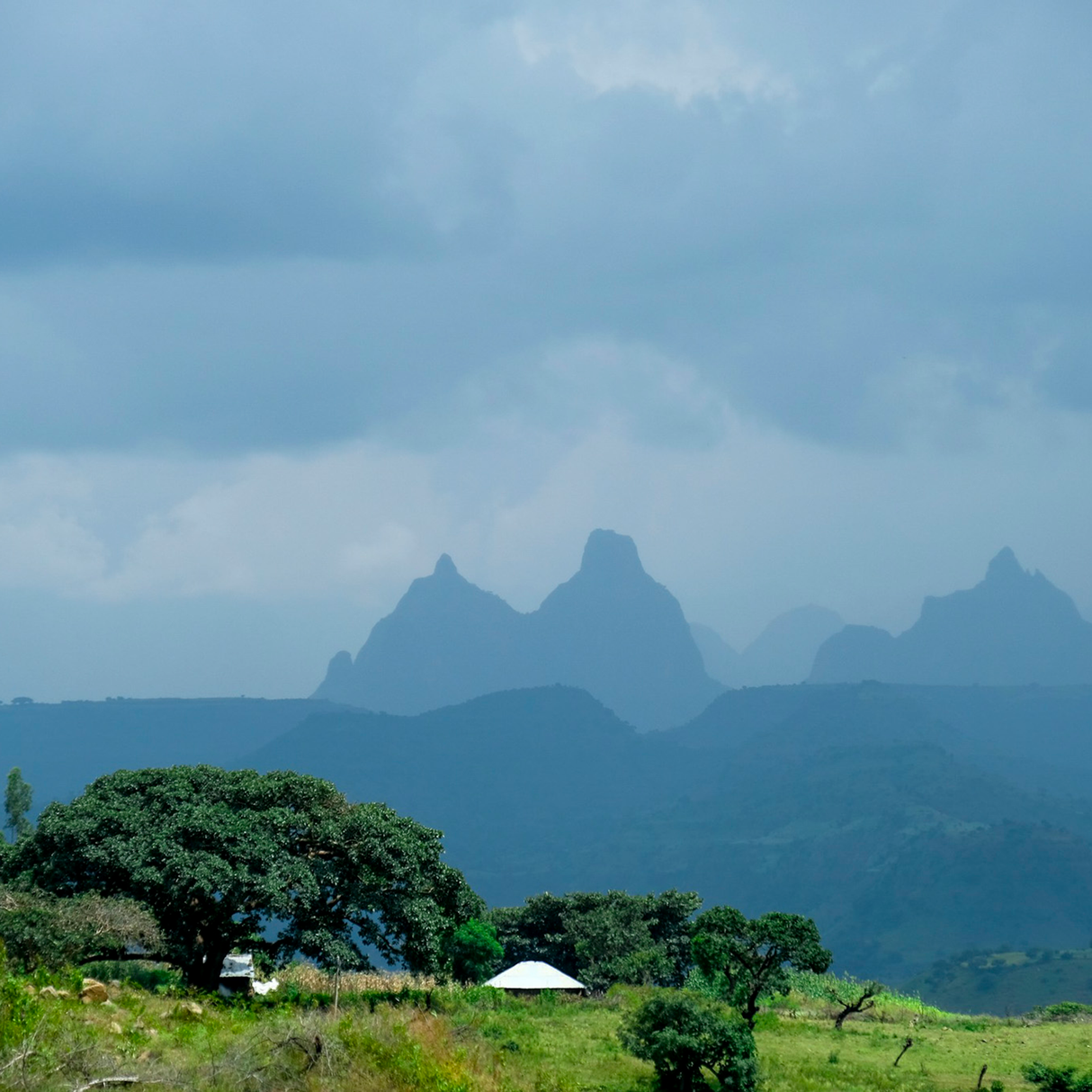 A scenic landscape showing layered blue mountains under a cloudy sky, with green fields, trees, in the foreground.