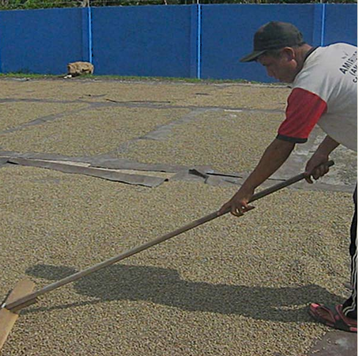 Man raking drying patio bed with blue wall in background.