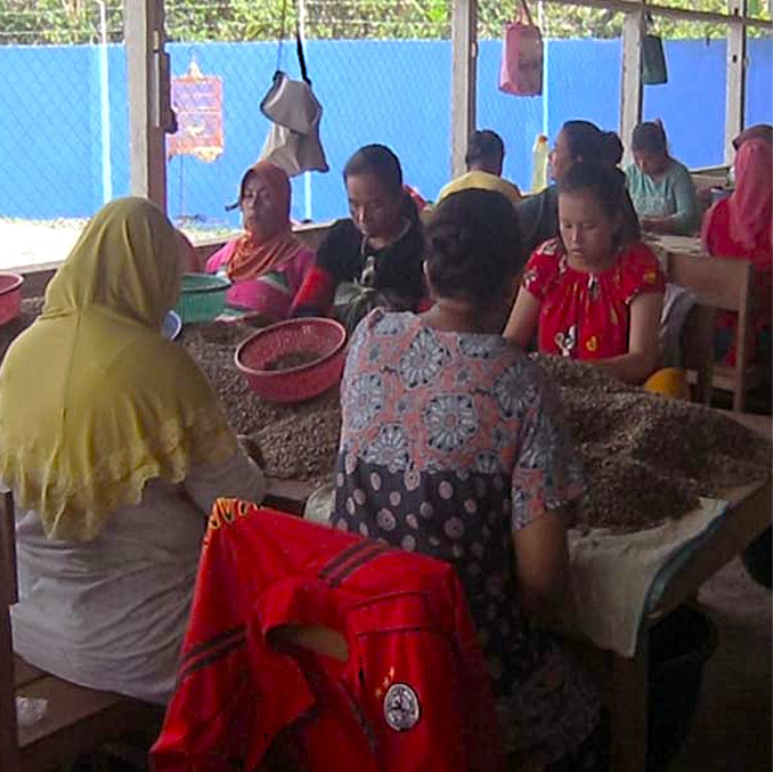 Women of the Rahmat Kinara Cooperative, sorting green coffee beans at tables.