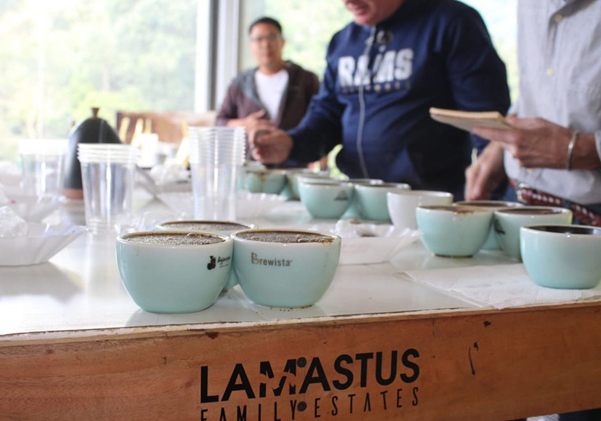 coffee cups on a table