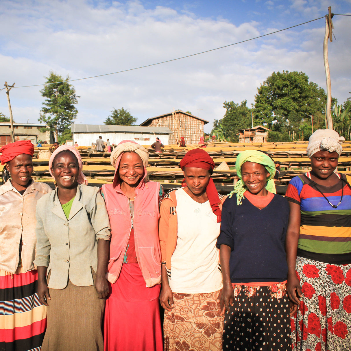 An Ethiopian coffee farm