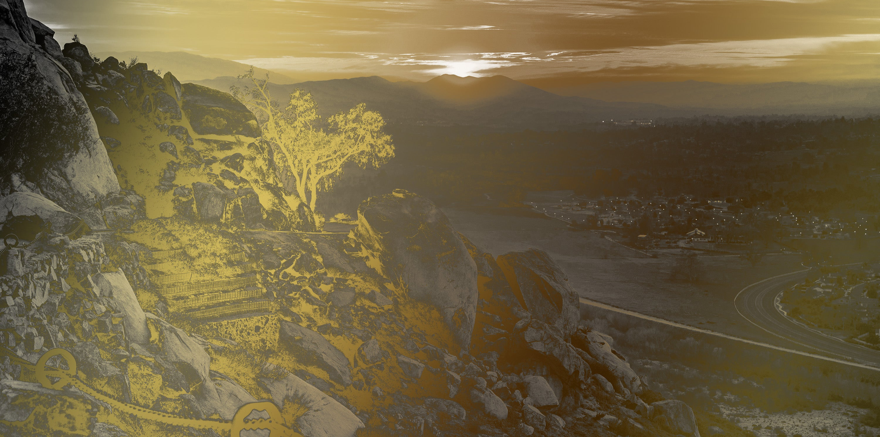 Sunrise over a coffee farm