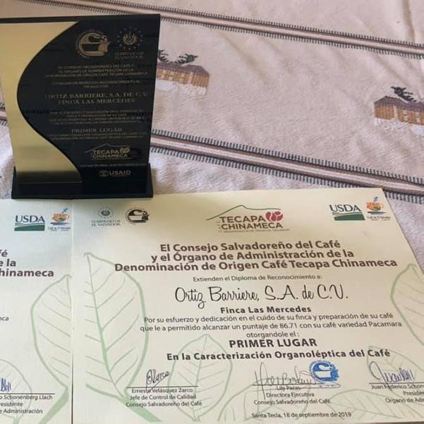 1st Place  Tecapa Award-Pacamara