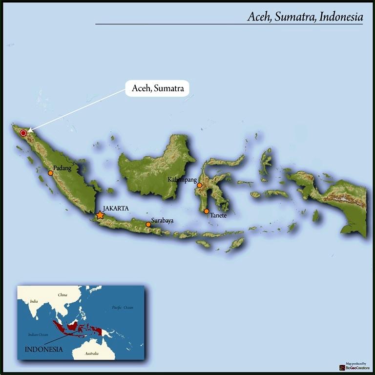 Coffee from Sumatra