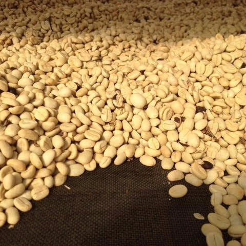 Italian Roast - Klatch Coffee Roasting