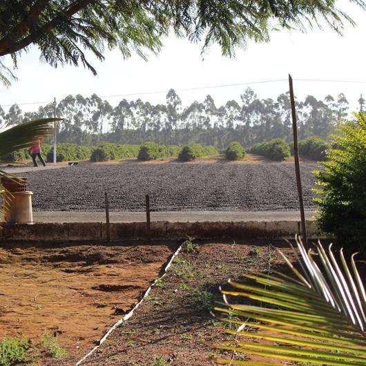 Brazil Klatch Diamond Reserve - Klatch Coffee Roasting