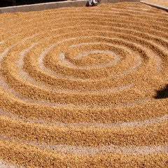 Decaf House Blend - Klatch Coffee Roasting