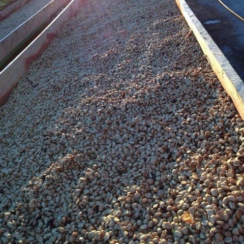 Blue Thunder Blend - Klatch Coffee Roasting
