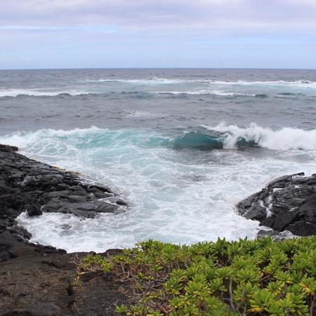 Hawaii Rusty's Ka'u