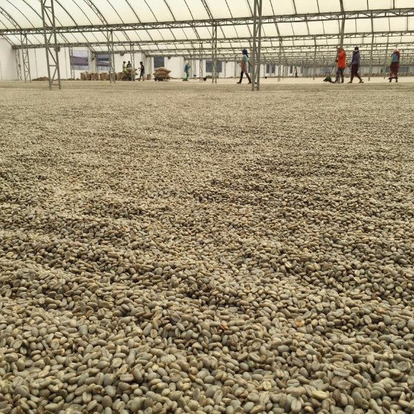 Mocha Java Blend - Klatch Coffee Roasting