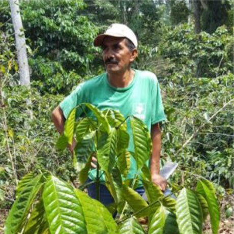 What are Single Origin coffees?