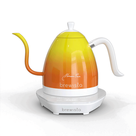 For a precise pour over, use an electric gooseneck kettle