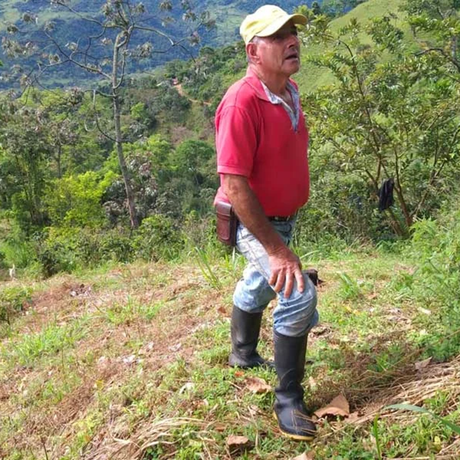 A man standing outdoors on a grassy hillside wearing a red polo shirt, light blue jeans, black rubber boots, and a yellow cap, with mountains and coffee trees in the background.