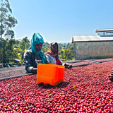 Ethiopia West Arsi Nensebo Mewa Natural G1