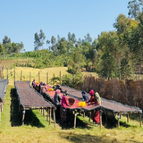 Ethiopia West Arsi Nensebo Mewa Natural G1