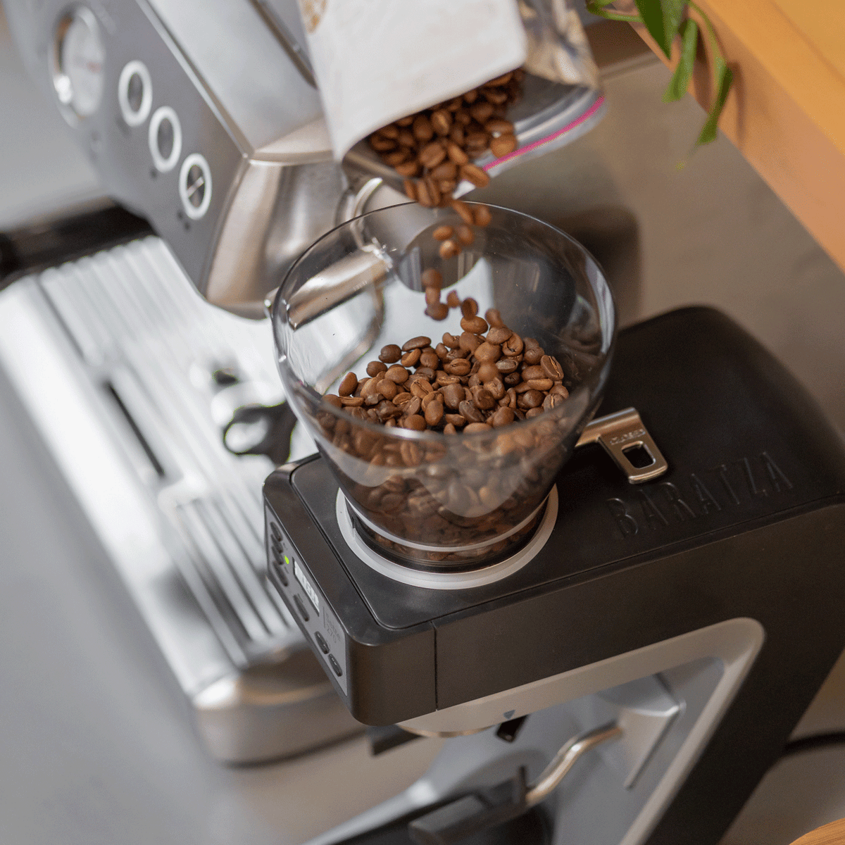 Coffee beans being poured into a Baratza grinder hopper beside an espresso machine.