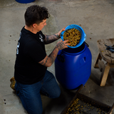 A tattooed man kneels on a concrete floor, holding a blue bowl filled with small yellow-green seeds or grains above a large blue plastic barrel from anaerobic processing.
