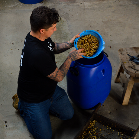 A tattooed man kneels on a concrete floor, holding a blue bowl filled with small yellow-green seeds or grains above a large blue plastic barrel from anaerobic processing.