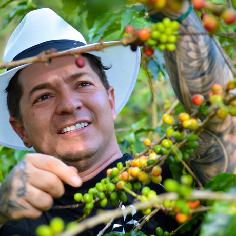 A smiling man wearing a white hat and black shirt picking coffee cherries on a branch in a lush outdoor coffee farm.