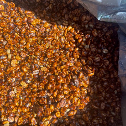 Close-up of honey processed coffee beans with a plastic bag in the background.