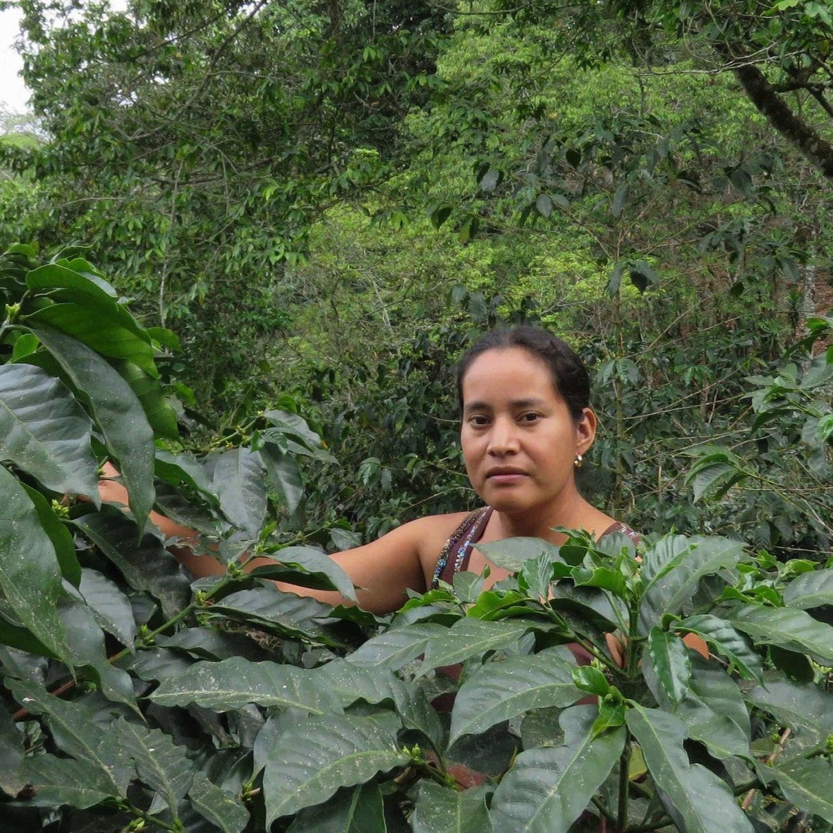 Manos De Mujer producer
