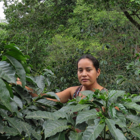 Manos De Mujer producer