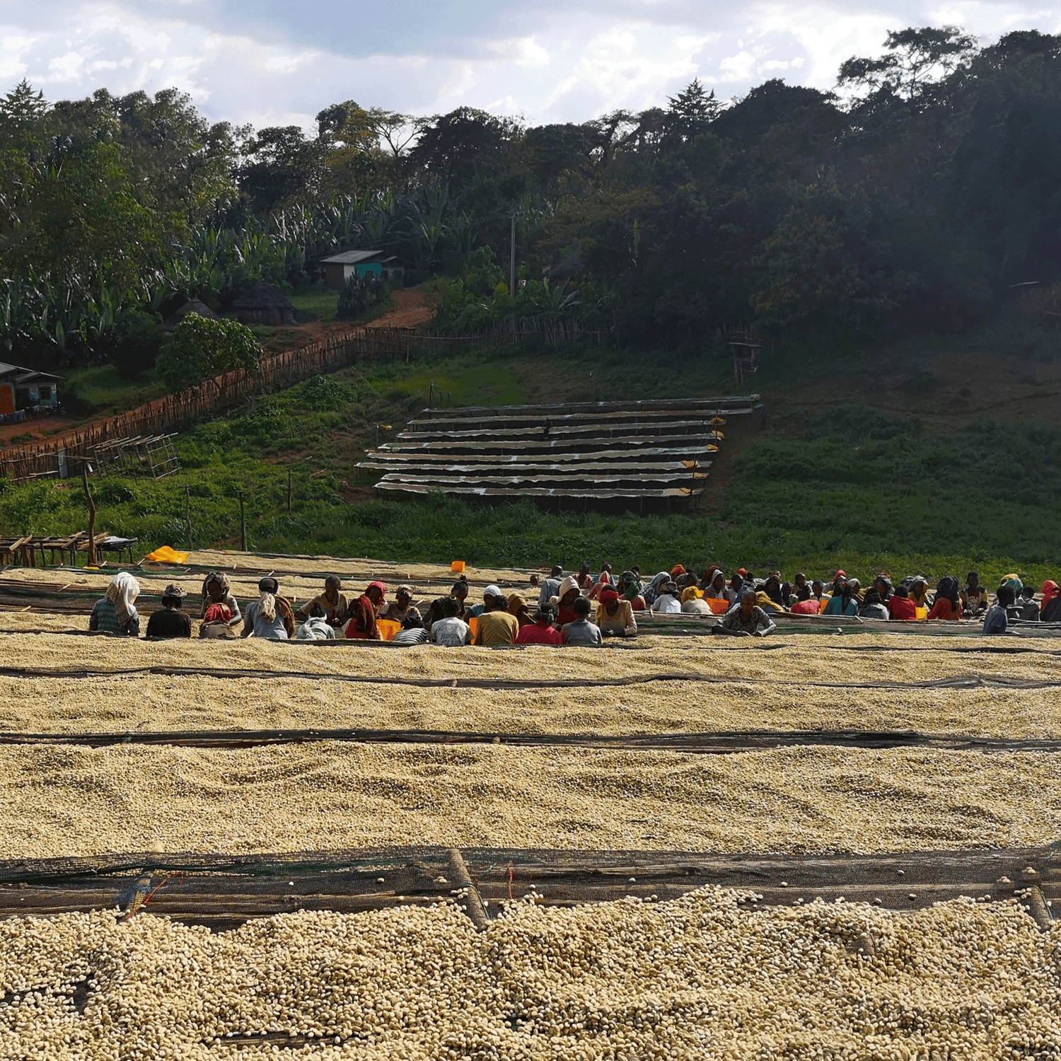 Out Of Office Summer Blend Klatch Coffee