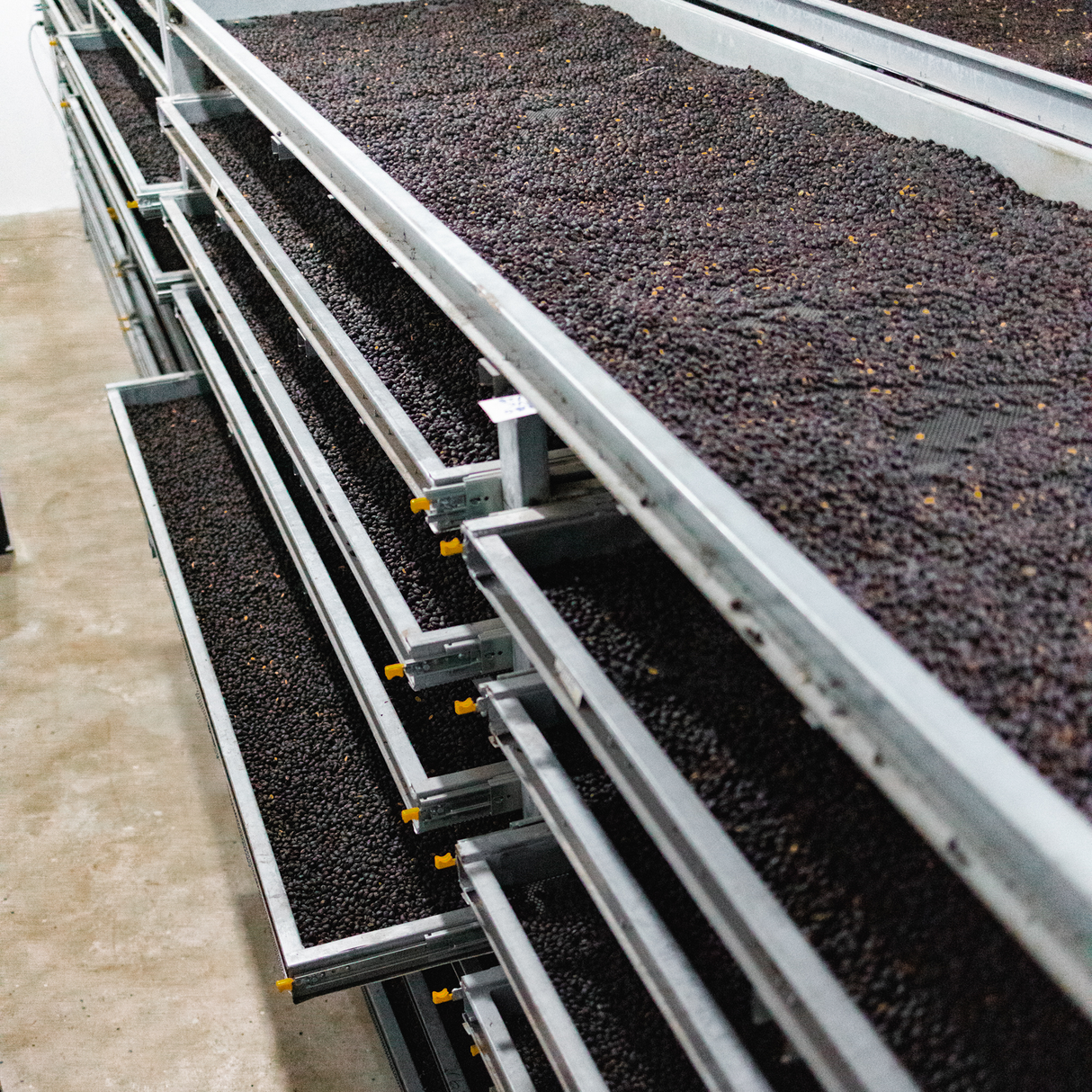 Controlled climate drying beds.