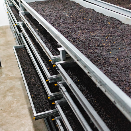 Controlled climate drying beds.