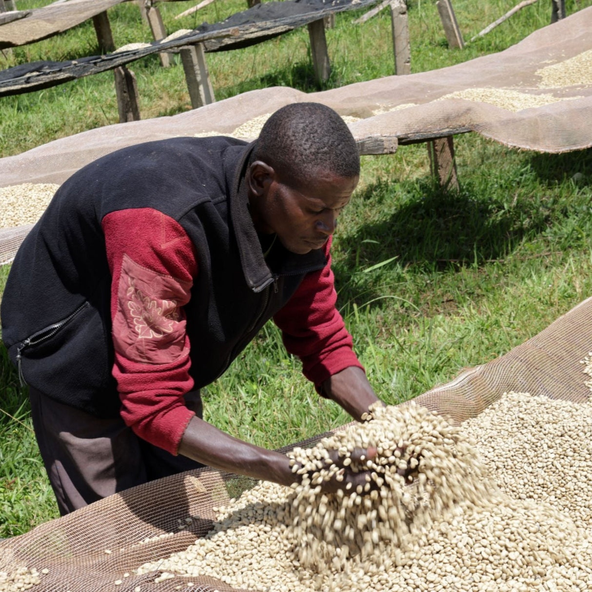 Burundi Kayanza Matongo-2
