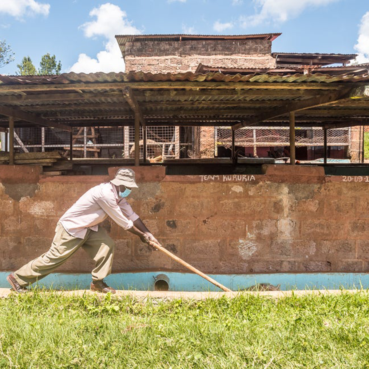A man in a light pink shirt, khaki pants, and a white hat uses a long-handled tool to moving and washing the coffee cherries in front of a rustic brick structure under a corrugated metal roof.