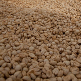 A close-up view of many raw green coffee beans spread across the frame, showing their light tan to beige color and smooth, oval shape.