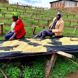 Kenya_Berg-Wu-01