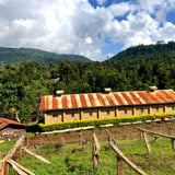 Kenya_Berg-Wu-02
