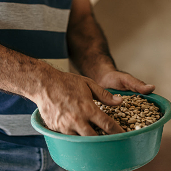 Organic ColombiaOrganic Guatemala Natural Fair Trade coffee beans