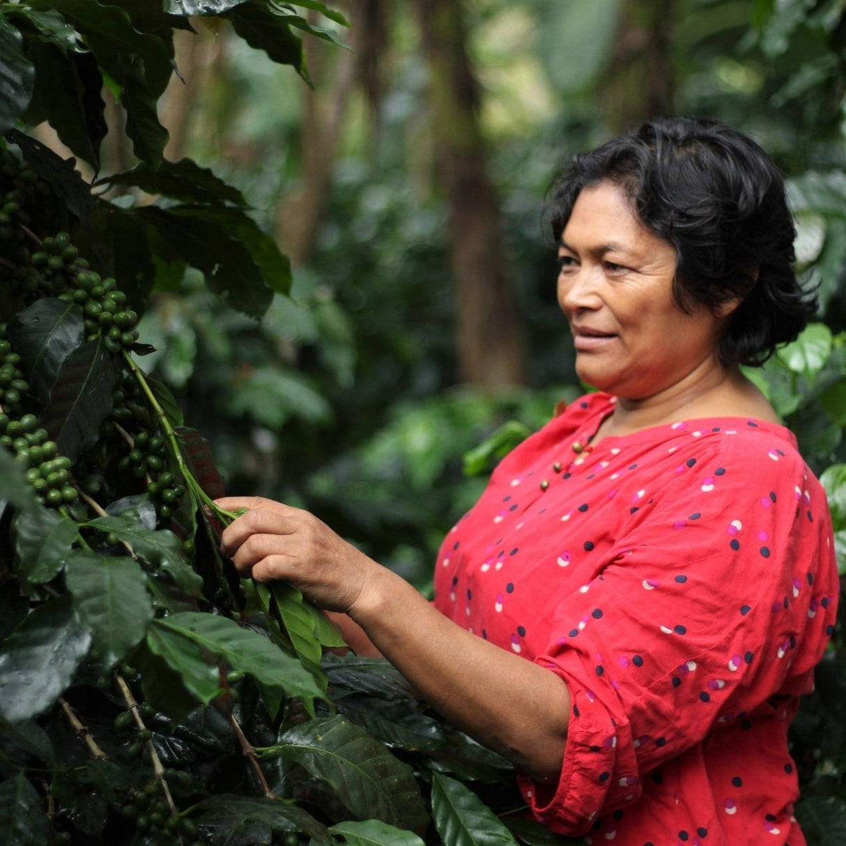 Manos De Mujer producer Pastora Fredesvinda Garcia