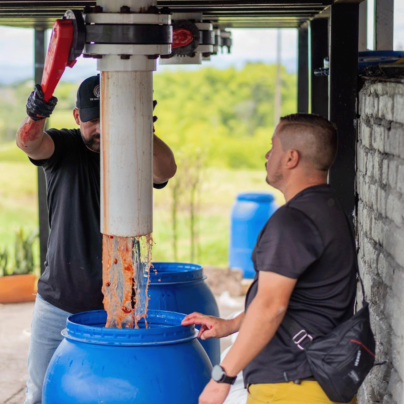 Two men working with a large cylindrical device dispensing coffee cherries liquid after carbonic maceration process into blue barrels.