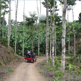 Colombia San Jose Estate