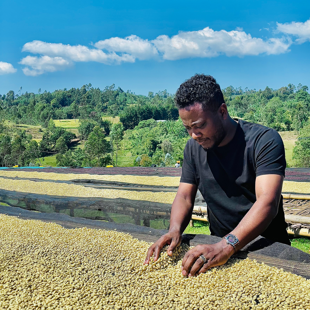 Ethiopia West Arsi Nensebo Mewa Natural G1