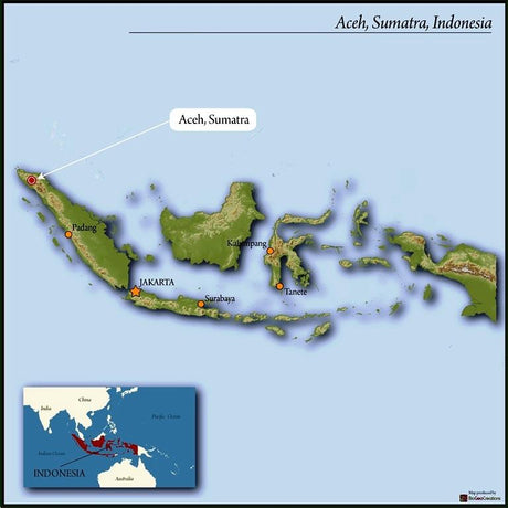 Coffee from Sumatra