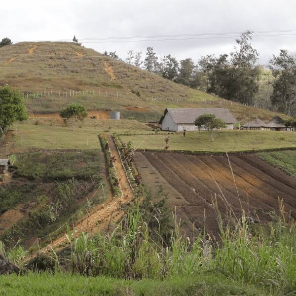 Brewer's Choice Single Origin - Club Subscription - Klatch Coffee Roasting