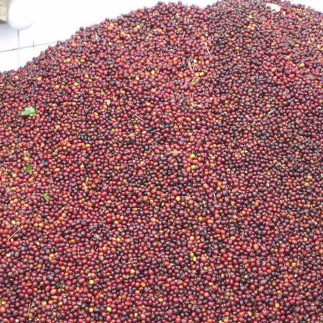 Blue Thunder Blend - Klatch Coffee Roasting