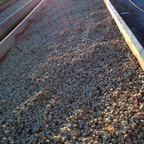 Blue Thunder Blend - Klatch Coffee Roasting