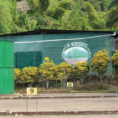 Clay drying patios and green building with Las Mercedes mural on it.