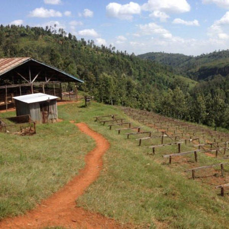 Out Of Africa - Klatch Coffee Roasting