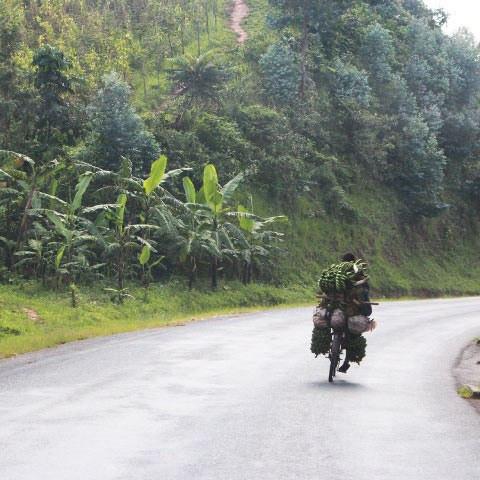 Out Of Africa - Klatch Coffee Roasting